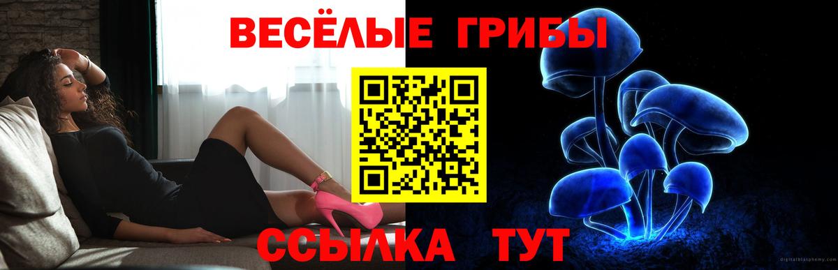 Псилоцибиновые грибы GOLDEN TEACHER  Вход с VPN  Галлюциногенные грибы Psilocybe  Краснодар 